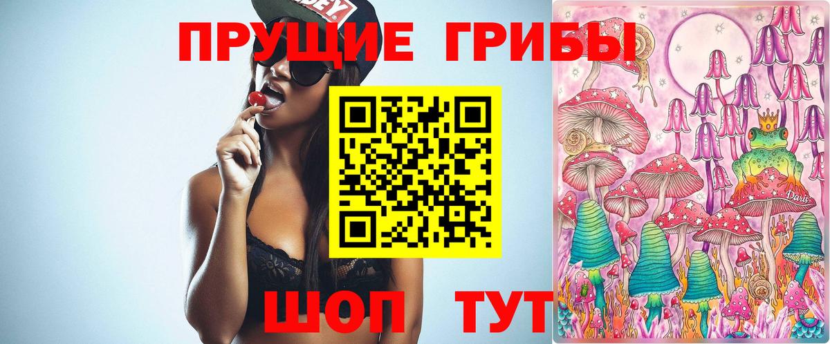 Петрозаводск  Галлюциногенные грибы прущие грибы  Вход с VPN 